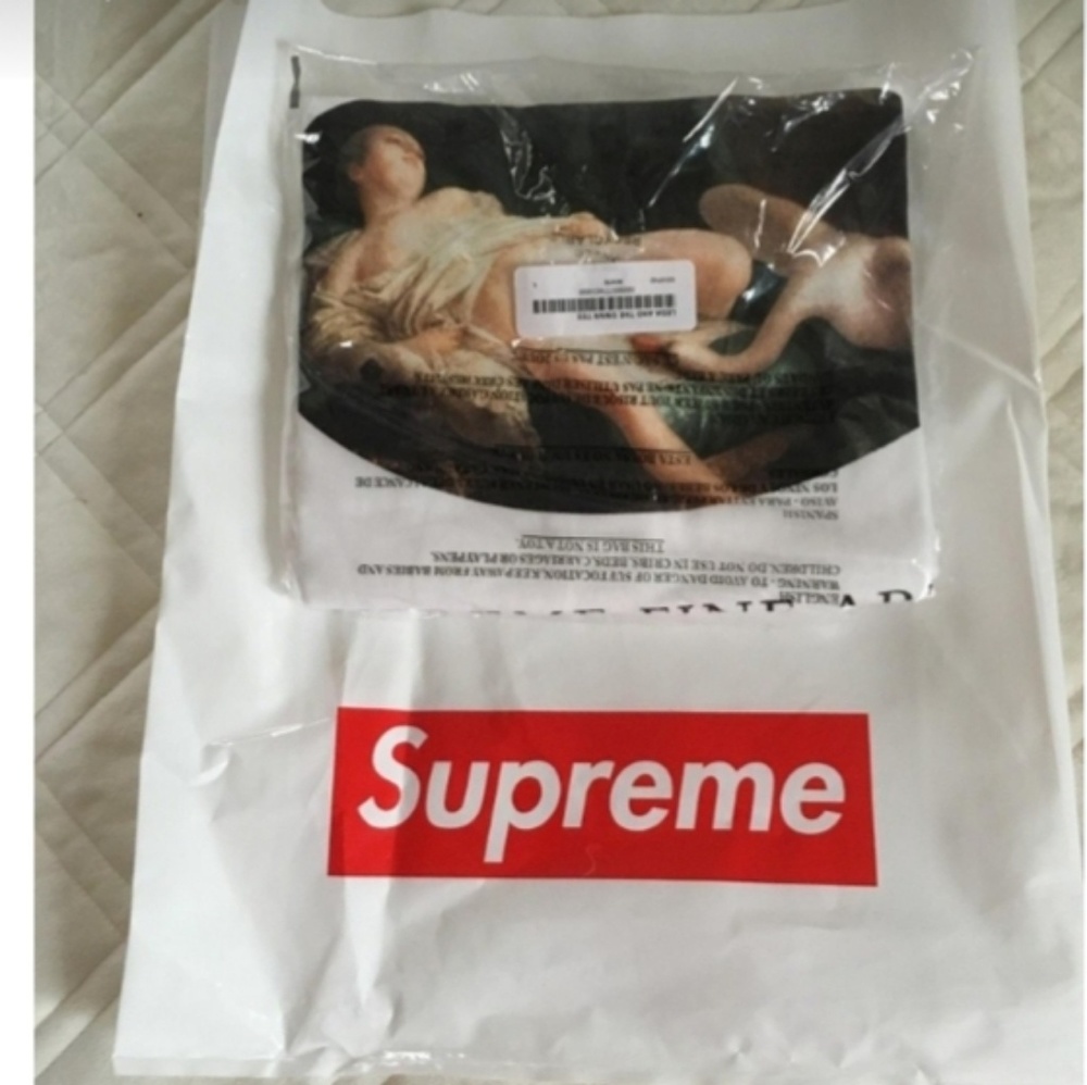 Supreme tee: Leda and the Swan